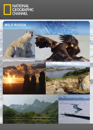 Дикая природа России