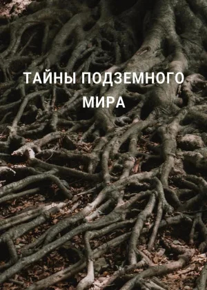 Тайны подземного мира