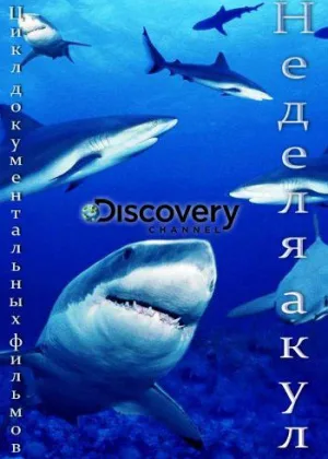 Неделя акул