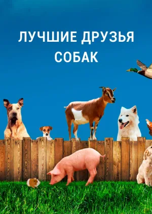 Лучшие друзья собаки